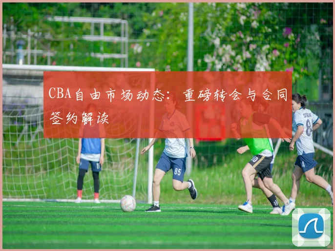 CBA自由市场动态：重磅转会与合同签约解读