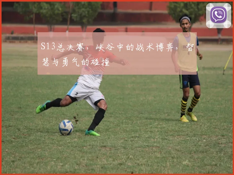 S13总决赛，峡谷中的战术博弈，智慧与勇气的碰撞