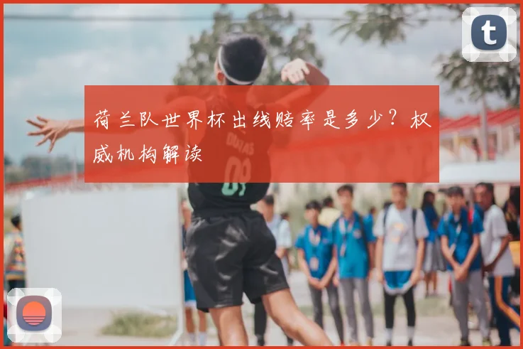 荷兰队世界杯出线赔率是多少？权威机构解读