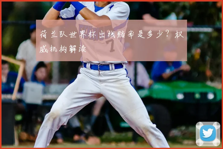 荷兰队世界杯出线赔率是多少？权威机构解读